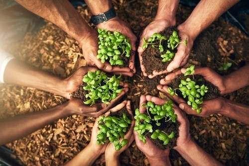nonprofit growth