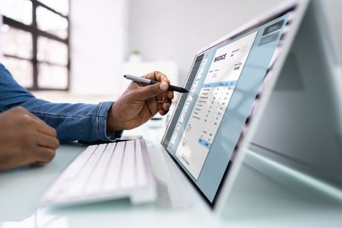 business person reviewing an online invoice