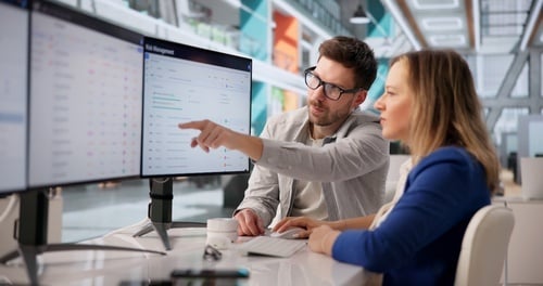 2 business professionals looking at computer screens