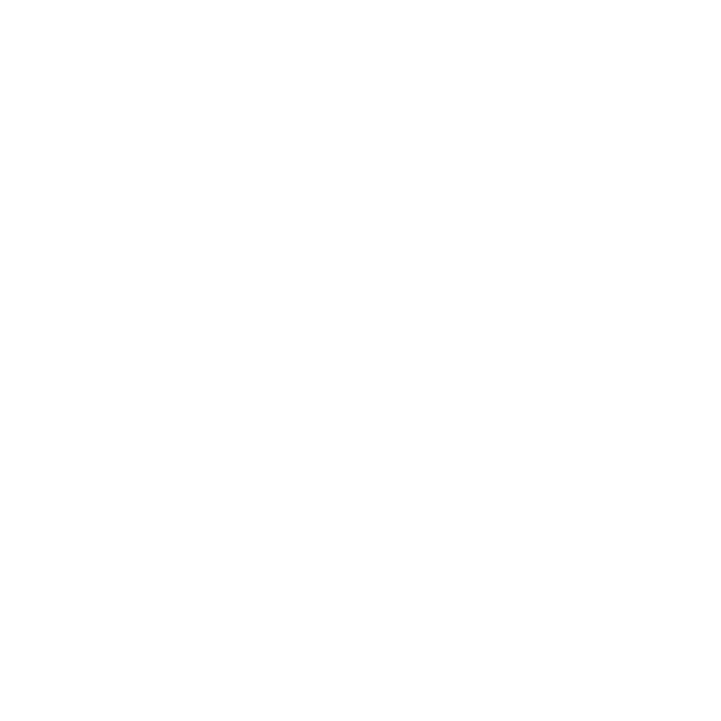 IPA - 2025 Award Logo - Top 300 Firms-white