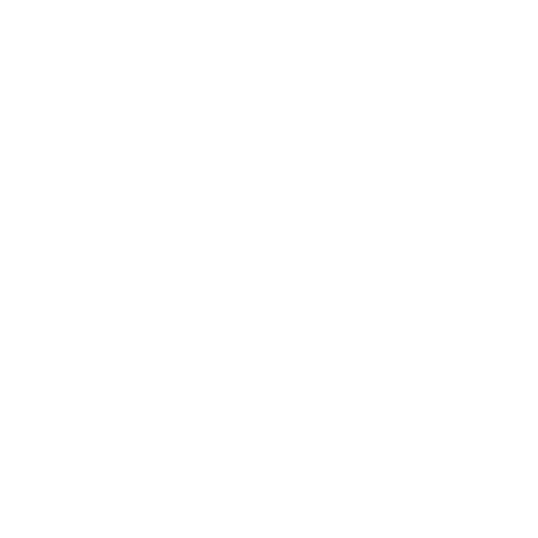 IPA - Award Logo - Top 300 Firms copy